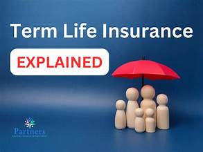 "Cheap term insurance plans"