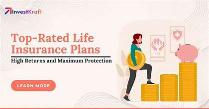 "Best insurance plans with returns"